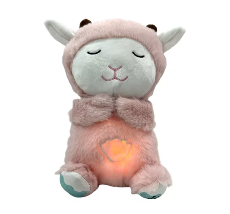 Calming Cuddle Buddy