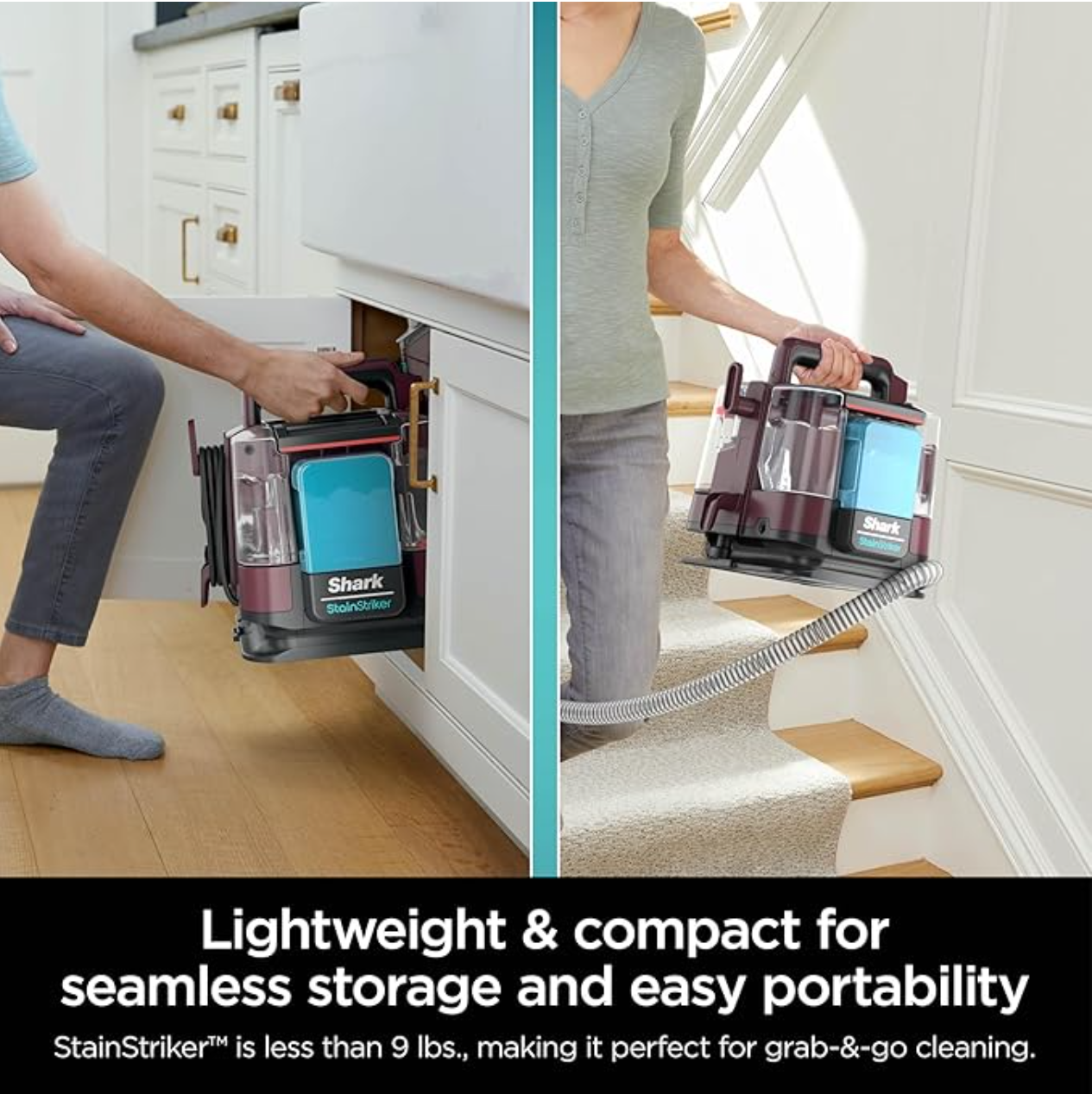 Shark StainStriker Cleaner