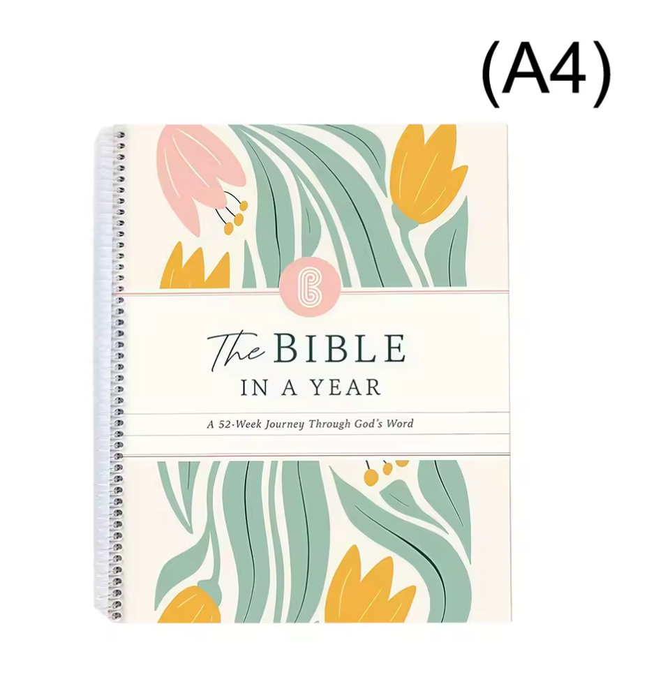 Weekly Bible Study Guide