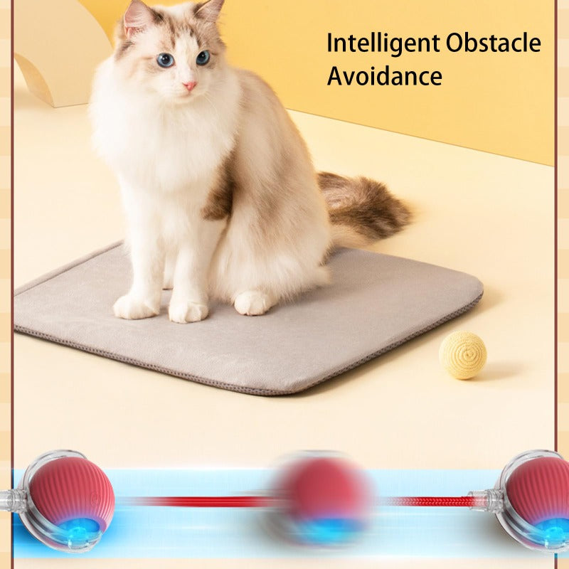 RolliePet Playful Smart Ball
