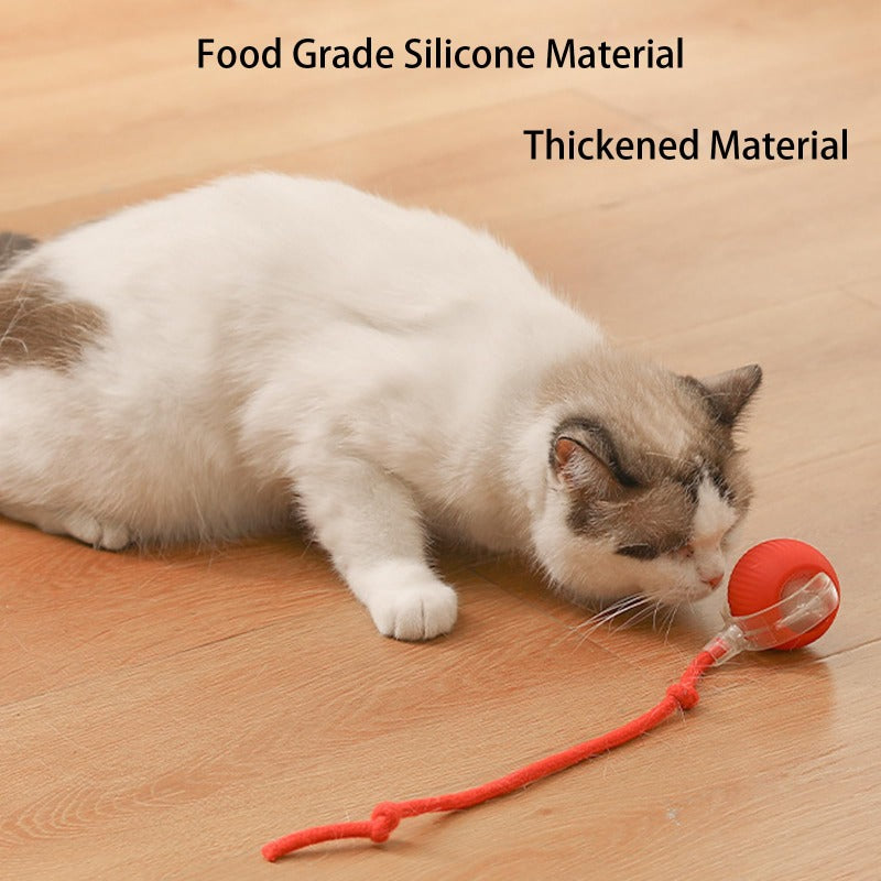 RolliePet Playful Smart Ball