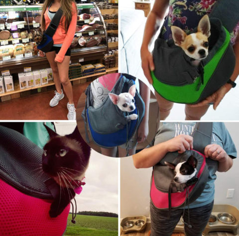 Hands-Free Pet Carrier