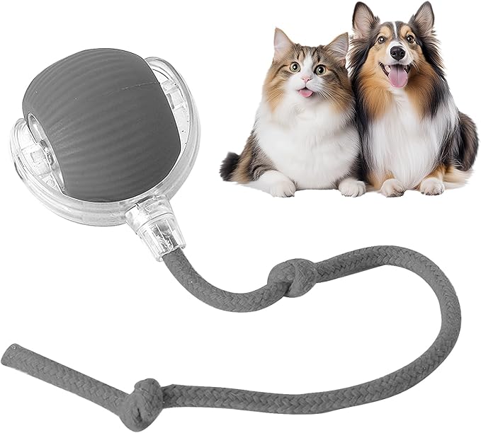 RolliePet Playful Smart Ball