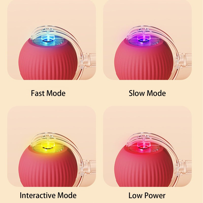 RolliePet Playful Smart Ball