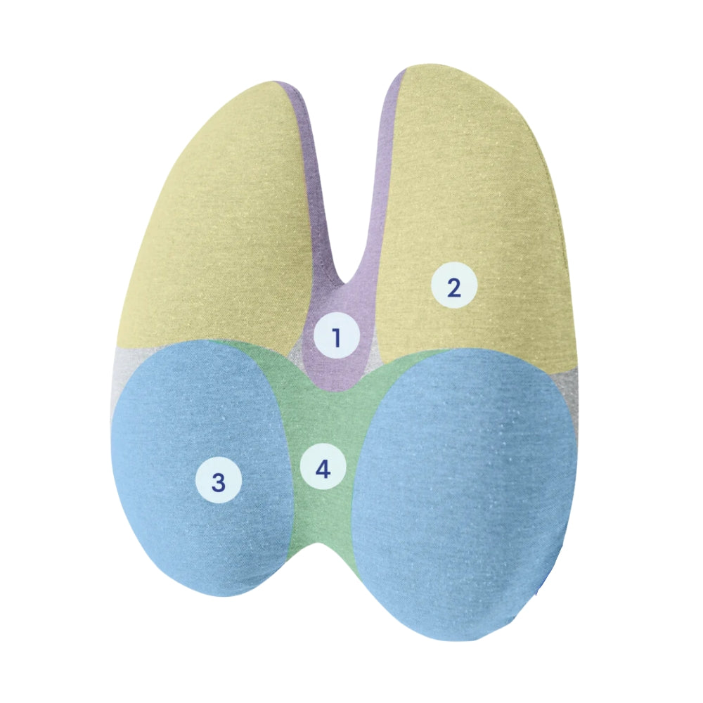 CloudEase Comfort Cushion
