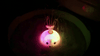 Whale Splash Bath Buddy