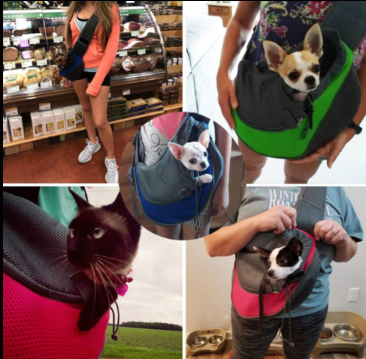 Paquete de máximo confort para mascotas – Oferta por tiempo limitado