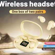 Dual-Power TWS Earbuds