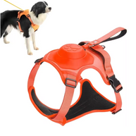 Arnés Urbano Trail Pro para Perros