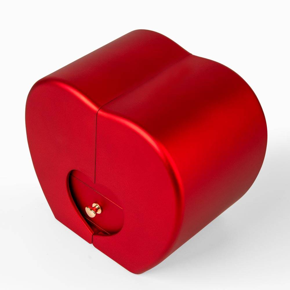 Beloved Daughter Necklace Gift Set — Forever Love Pendant + Preserved Rose | Finish → 14k White Gold over Steel / 18k Yellow Gold over Steel