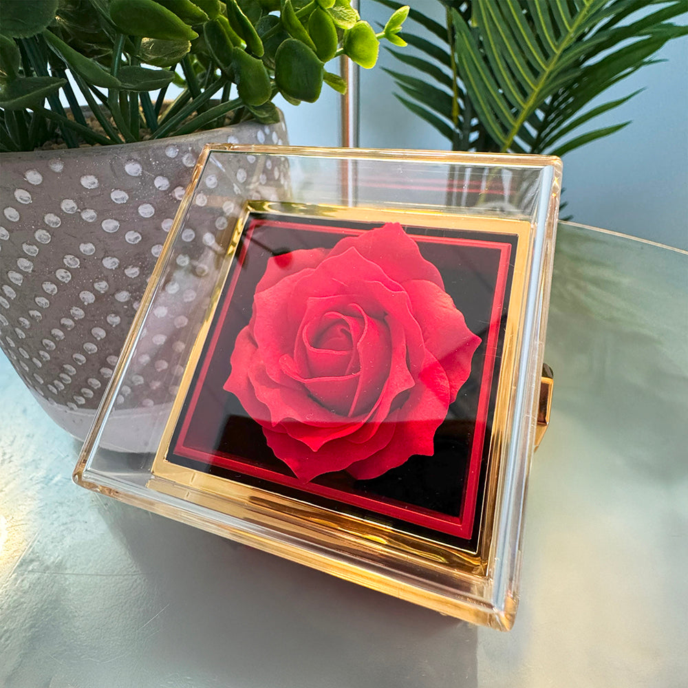 To My Beautiful Daughter™ — Forever Love Necklace (Rose Reveal Box) | Choose 14k White Gold Finish or 18k Yellow Gold Finish.
