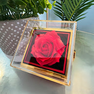 To My Beautiful Daughter™ — Forever Love Necklace (Rose Reveal Box) | Choose 14k White Gold Finish or 18k Yellow Gold Finish.