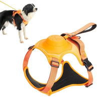 Arnés Urbano Trail Pro para Perros