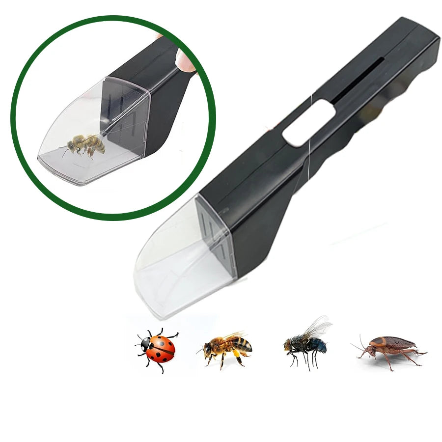 Kit de exploración de la naturaleza para cazar insectos