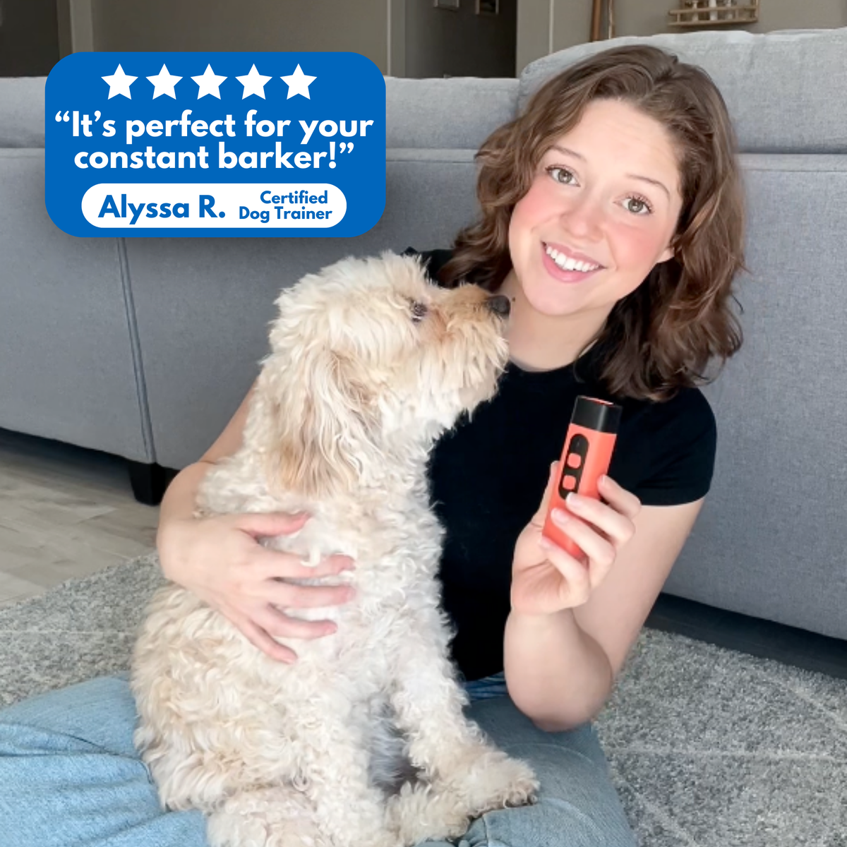 BarkShield Pro: el héroe silencioso de tu hogar