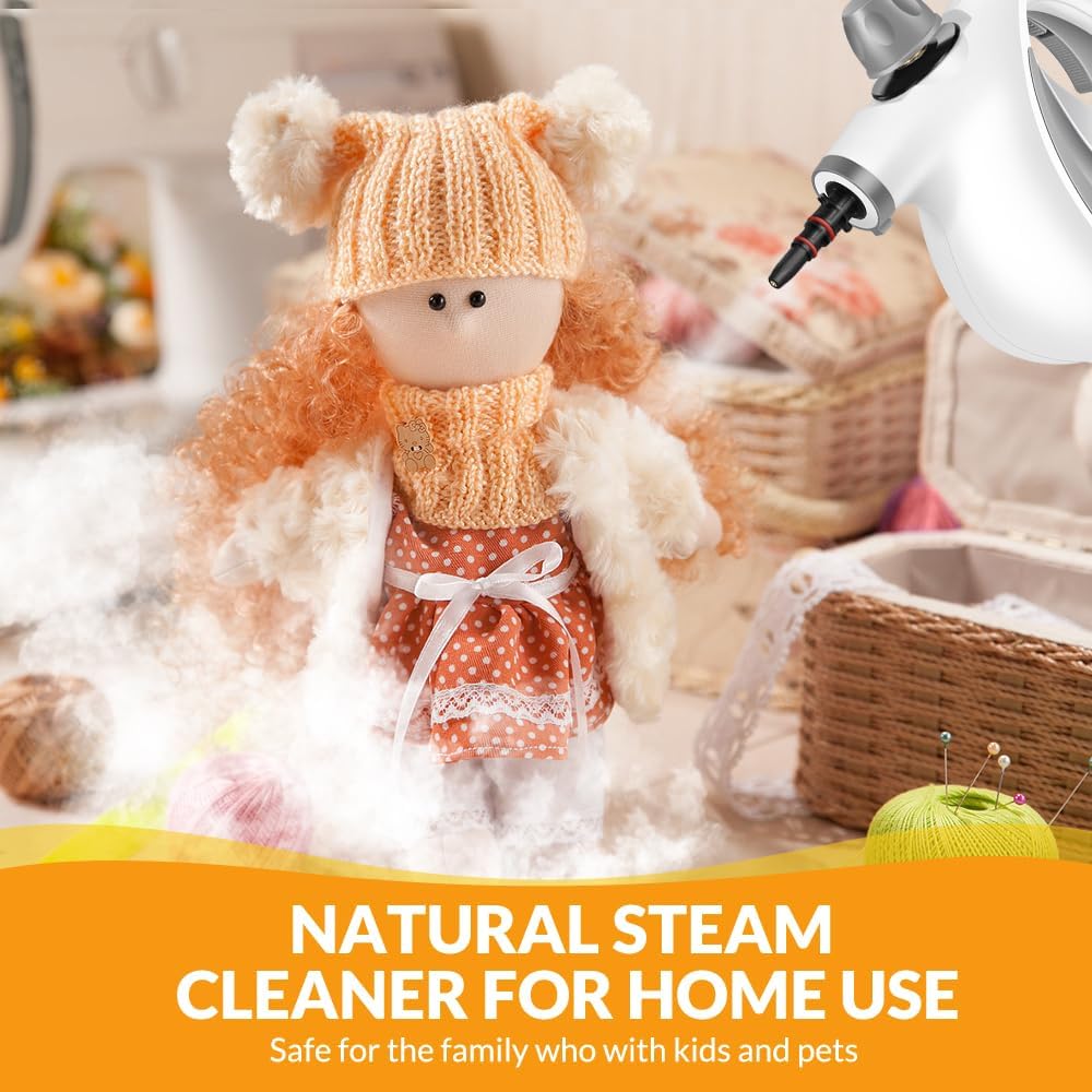 Home Hero Steam Cleaner