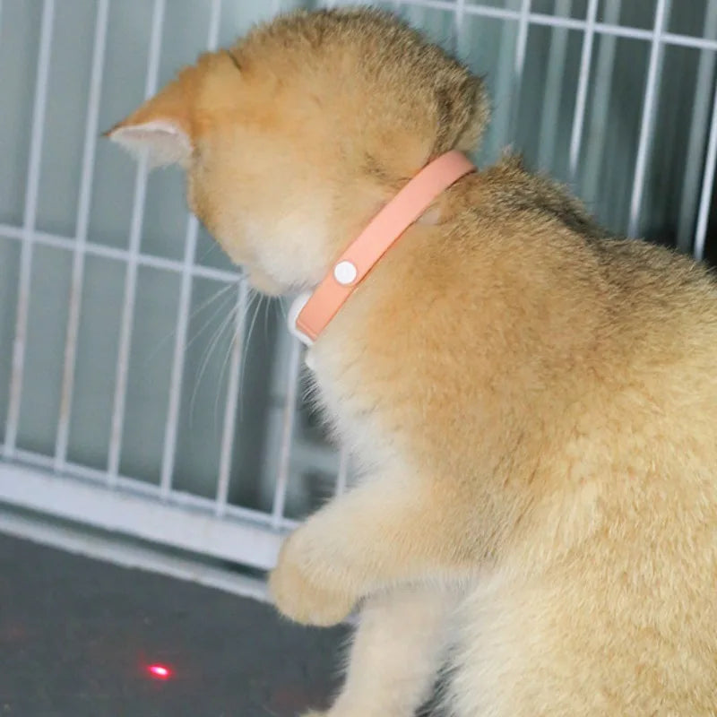Interactive Pet Laser Collar