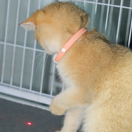 Collar Láser Interactivo para Mascotas