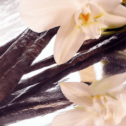 AELORA Grass-Fed Whipped Tallow Balm