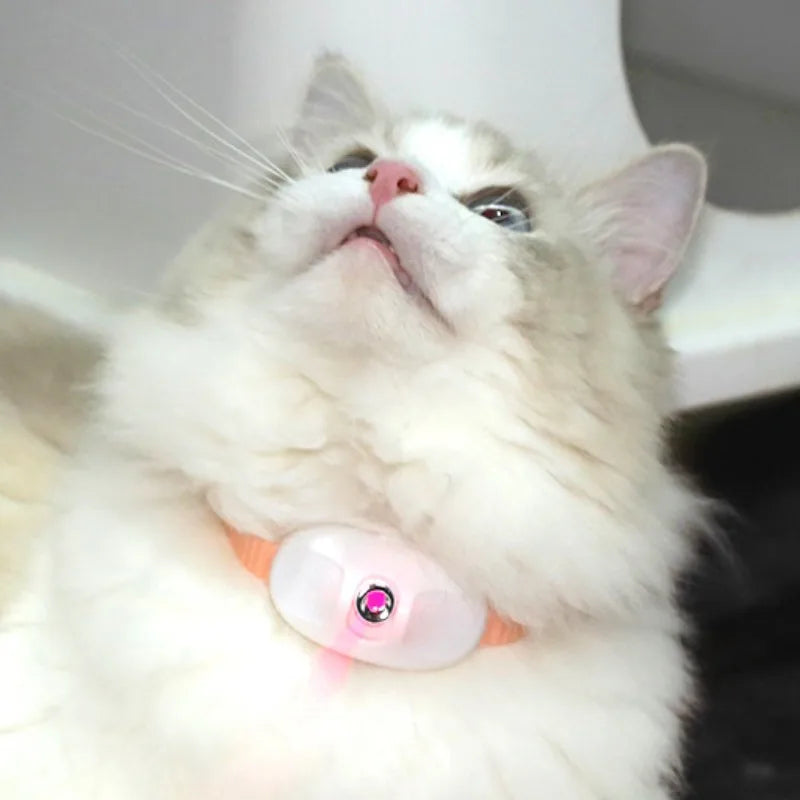 Interactive Pet Laser Collar