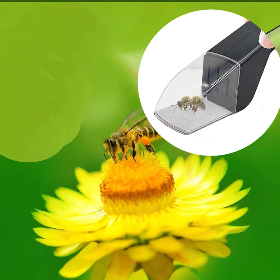 Kit de exploración de la naturaleza para cazar insectos