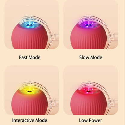 RolliePet Playful Smart Ball