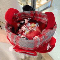 Festive Doll Gift Bags
