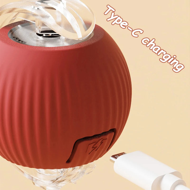 Whisker Chase Smart Ball