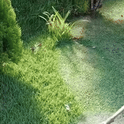 Sistema 3 en 1 LawnMaster Pro