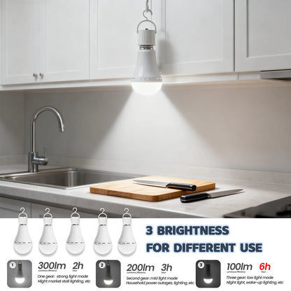 Smart Emergency LED Bulb