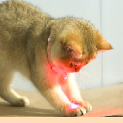 Interactive Pet Laser Collar