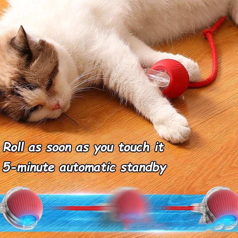 Whisker Chase Smart Ball