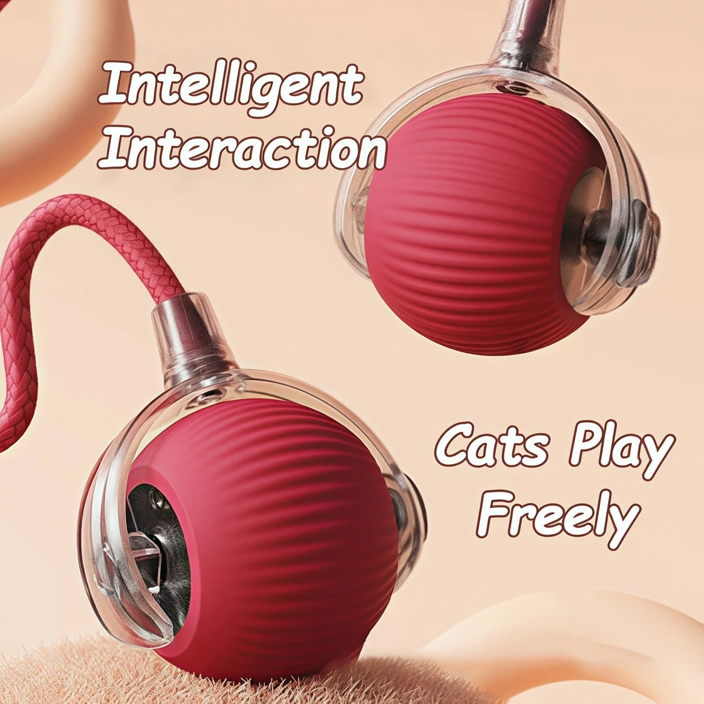 Whisker Chase Smart Ball
