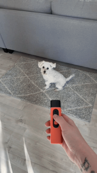 BarkShield Pro: el héroe silencioso de tu hogar