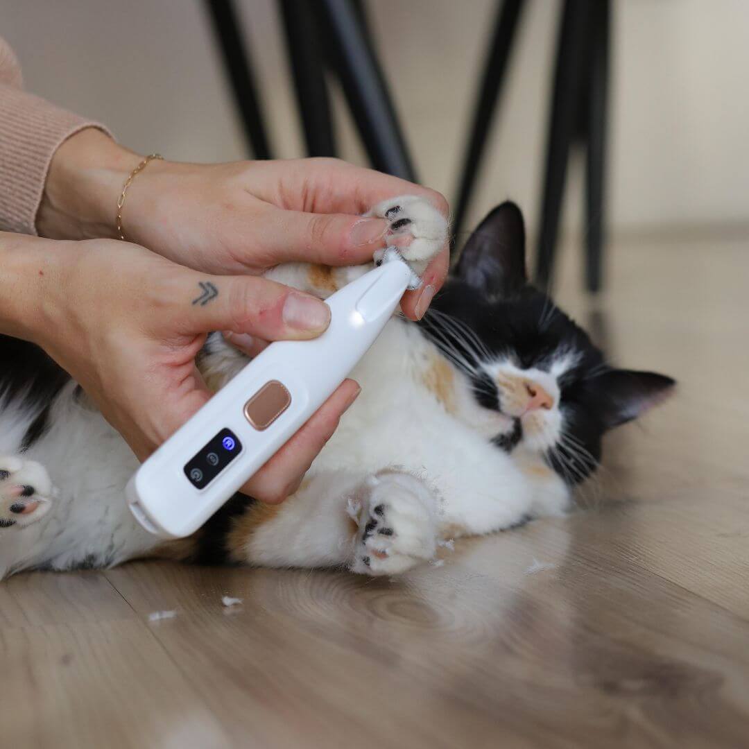 Gentle Grooming Clippers