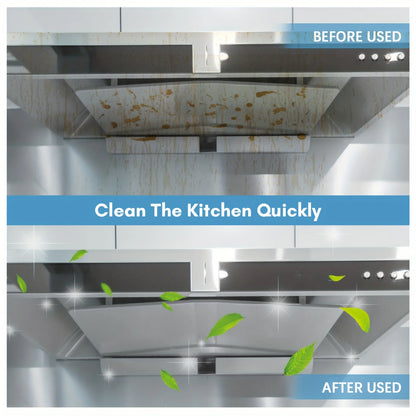 QuickSteam Handheld Cleaner