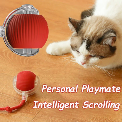 Whisker Chase Smart Ball