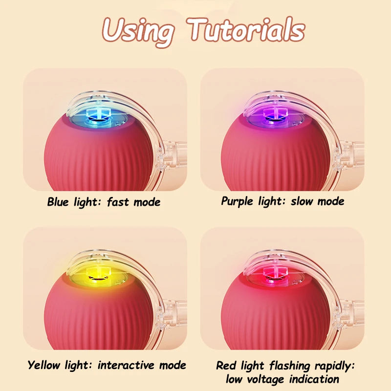 Whisker Chase Smart Ball