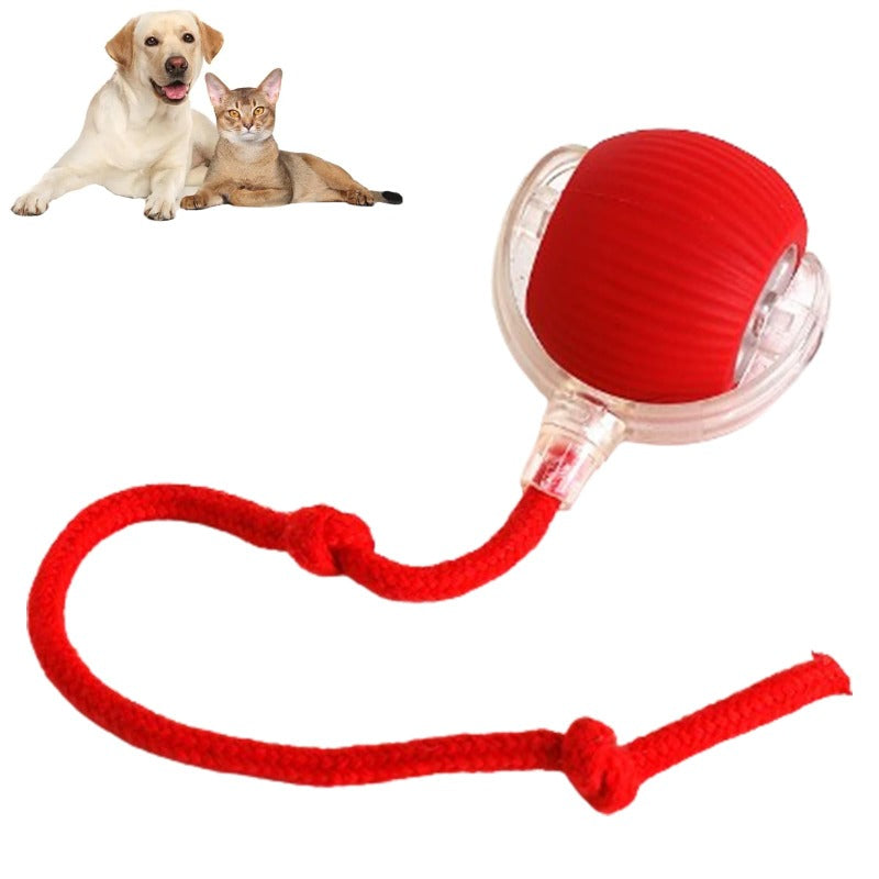 RolliePet Playful Smart Ball