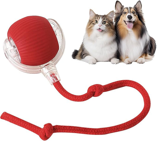 RolliePet Playful Smart Ball