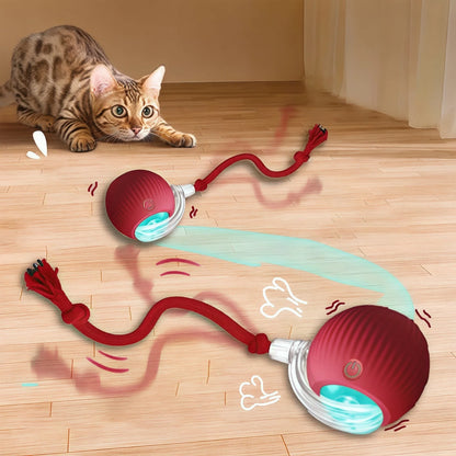 Whisker Chase Smart Ball