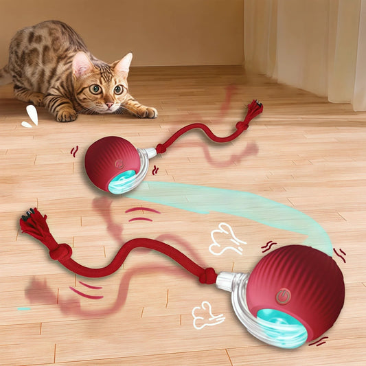 Whisker Chase Smart Ball
