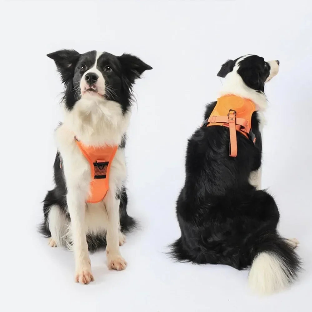 Arnés Urbano Trail Pro para Perros