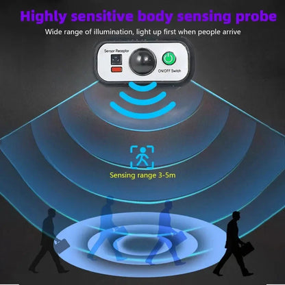 SolarGuard Motion Light Pro Outdoor