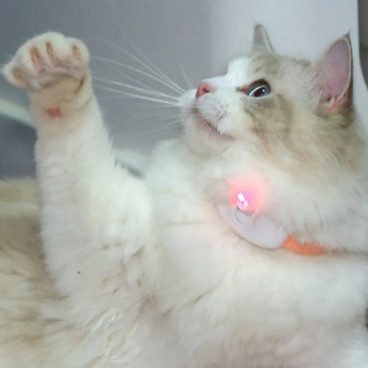 Interactive Pet Laser Collar