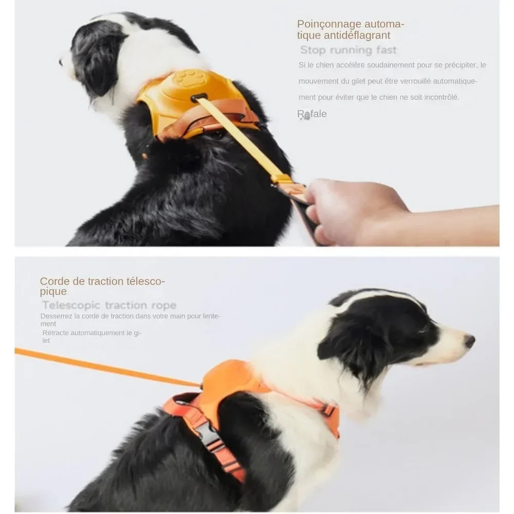 Arnés Urbano Trail Pro para Perros