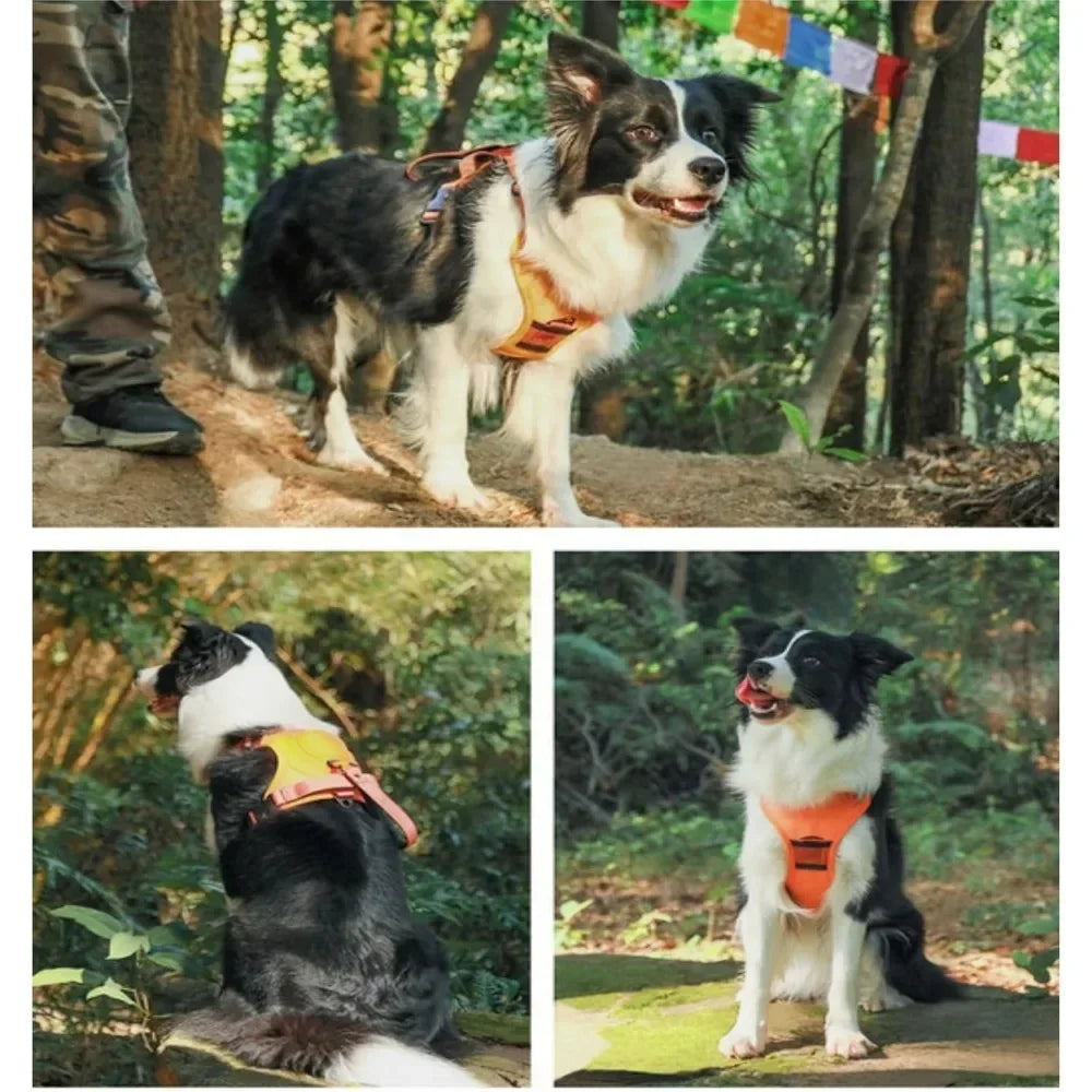 Arnés Urbano Trail Pro para Perros