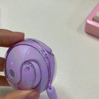Smart Translator Earbuds
