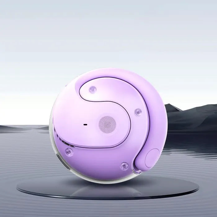 Smart Translator Earbuds