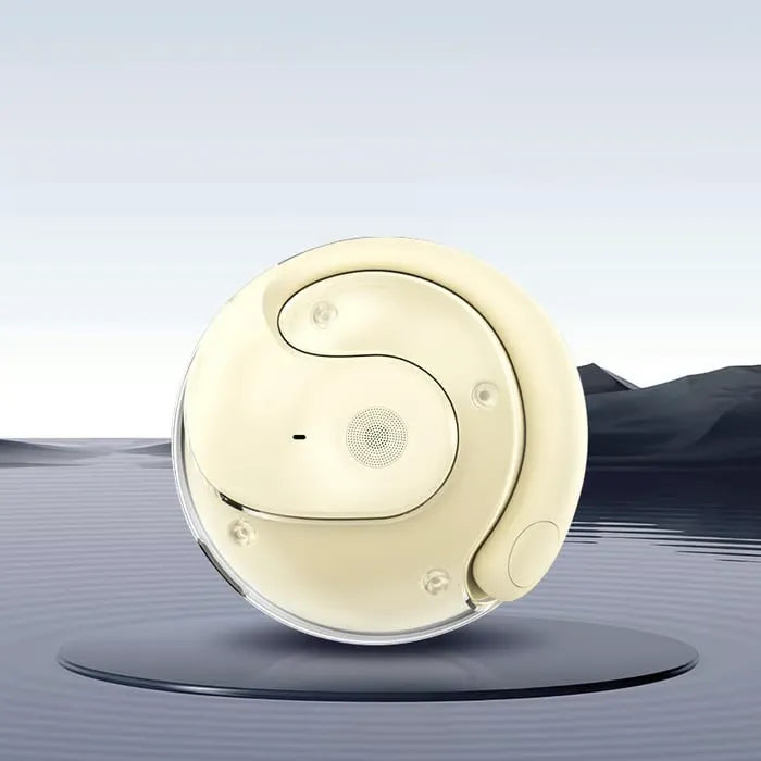 Smart Translator Earbuds